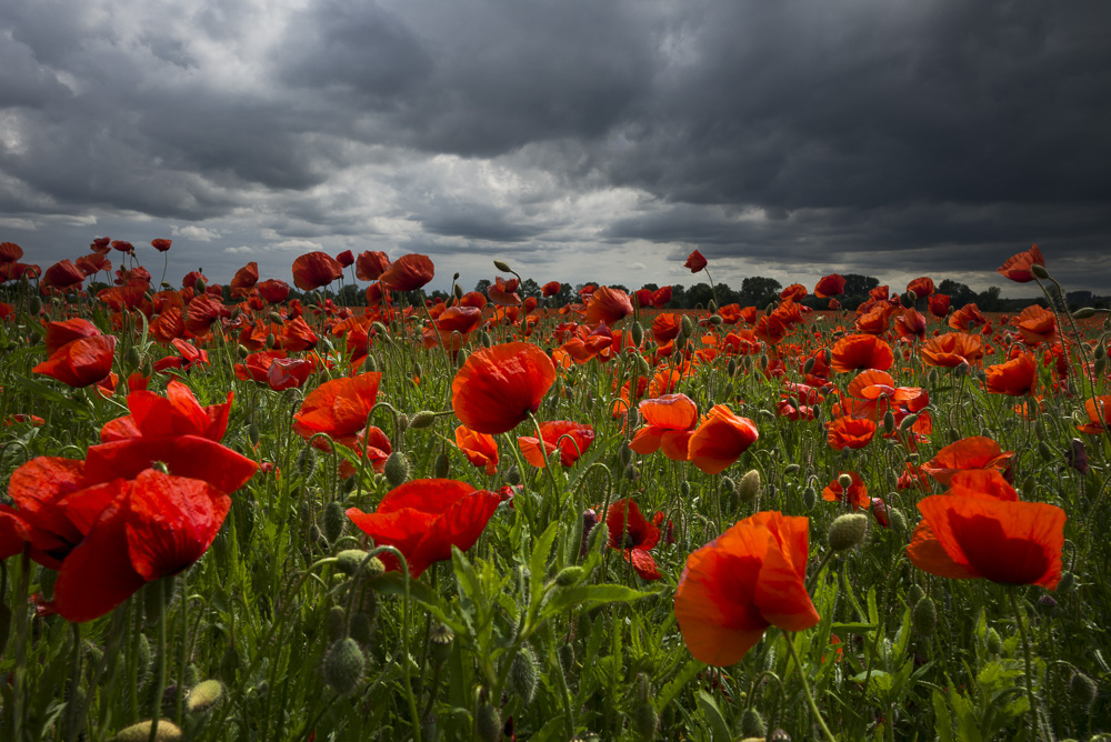 Platz 6 Michael Mayer